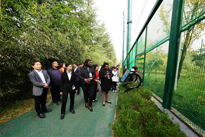 Les épouses des ambassadeurs étrangers en Chine à Zhouzhi : à la rencontre des « esprits de Qinling » et « rendez-vous avec les pandas »
