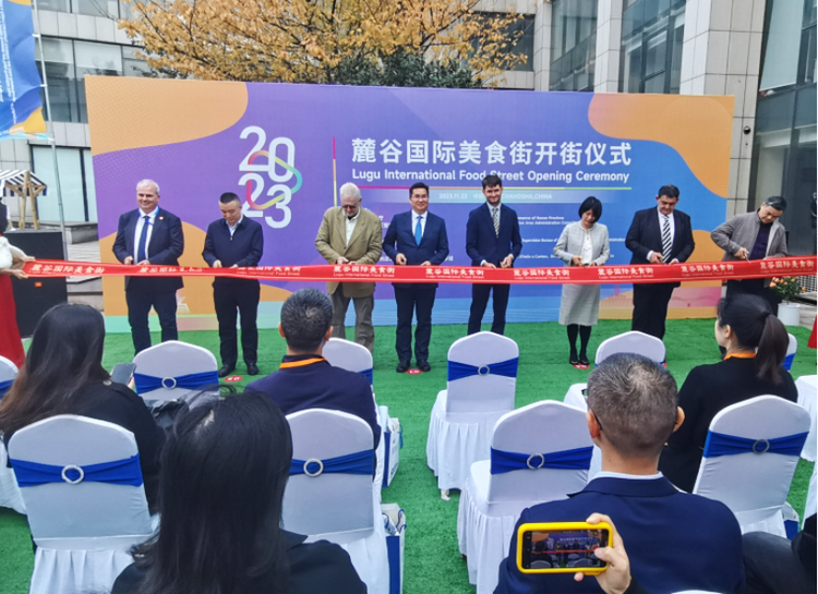 2023年首屆湘歐經貿促進洽談周正式開幕_fororder_圖片4