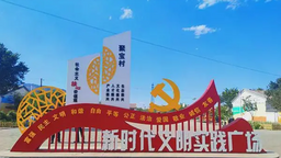 石嘴山市惠農區銀河村：石榴花紅映“銀河”