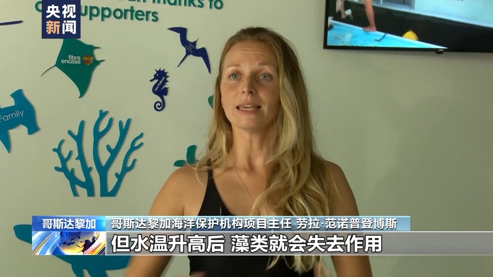 海水溫度升高 珊瑚白化 哥斯達黎加生物保護區出現嚴重生態危機