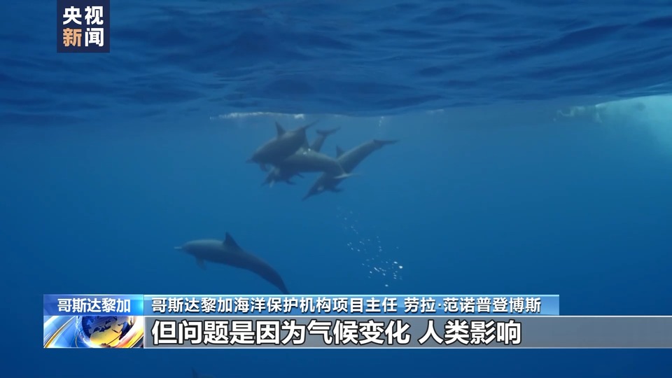 海水溫度升高 珊瑚白化 哥斯達黎加生物保護區出現嚴重生態危機