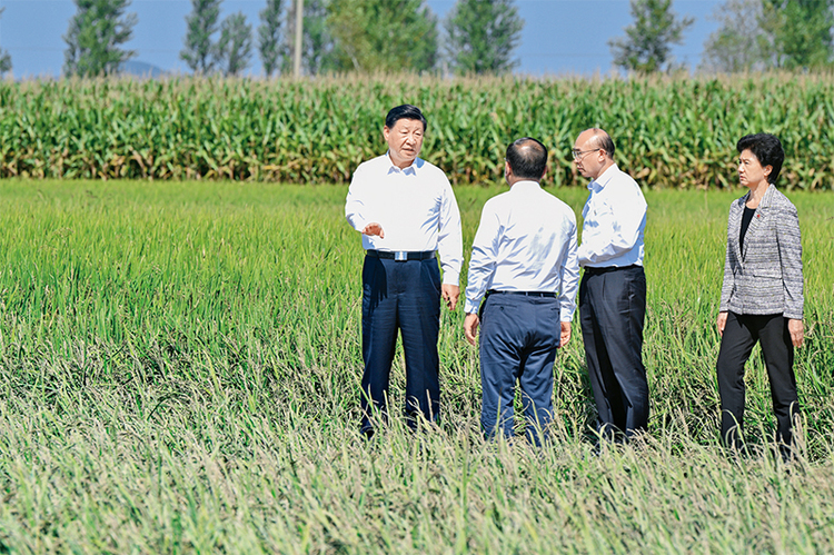 習近平：切實加強耕地保護 抓好鹽鹼地綜合改造利用