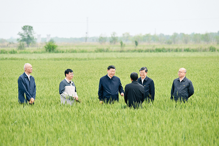 習近平：切實加強耕地保護 抓好鹽鹼地綜合改造利用