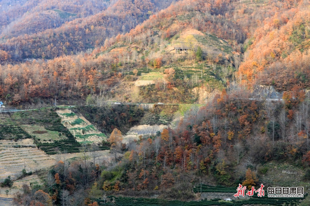 冬天的裕河自然保護區竟然這麼美_fororder_11