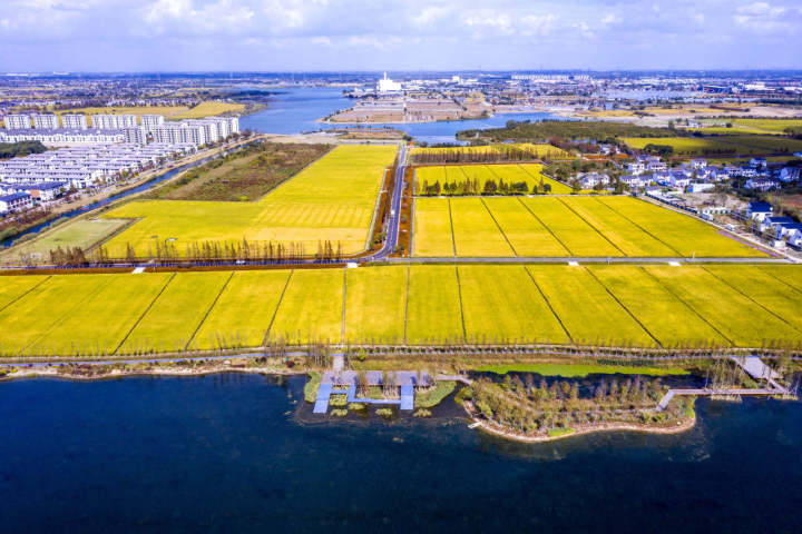 尋求“最優解”！嘉興推進土地綜合整治“一塊地”集成改革_fororder_1732159376996847616_720px