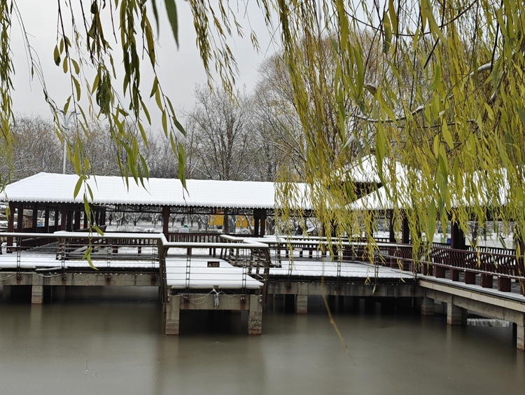 石家荘東環公園：風情溢れる銀世界_fororder_圖片2
