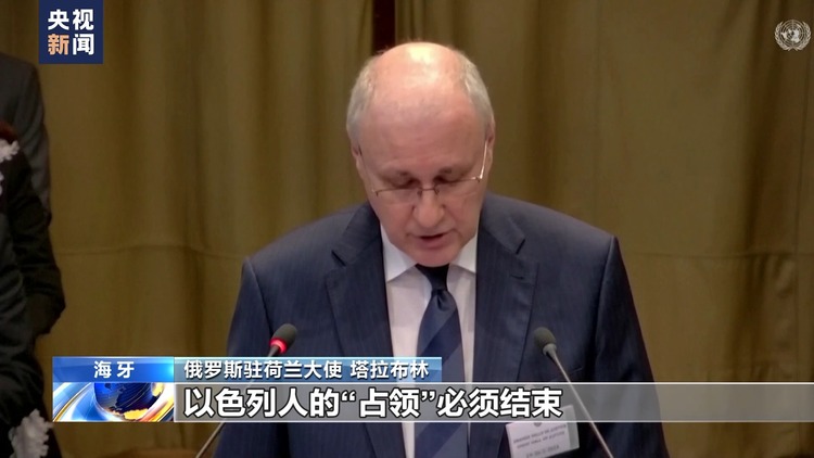 多國代表在聯合國國際法院聽證會譴責以色列對巴勒斯坦領土的佔領