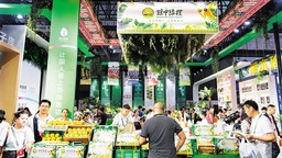 海南力爭累計打造省級農産品區域公用品牌13個以上