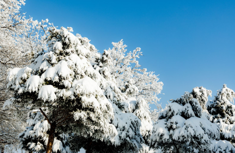 Baiyun Mountain Transforms into a Pure White 'Fairyland' in Early Spring_fororder_圖片4