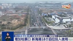 單日預約出島車輛近7000輛 海南新海港實施“客貨分流”