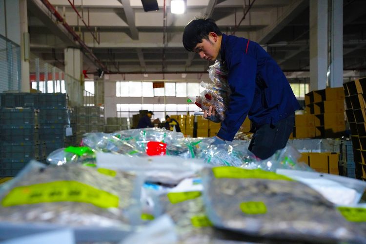 【新春走基層】湖南“年味” 挑動國際味蕾_fororder_圖片3