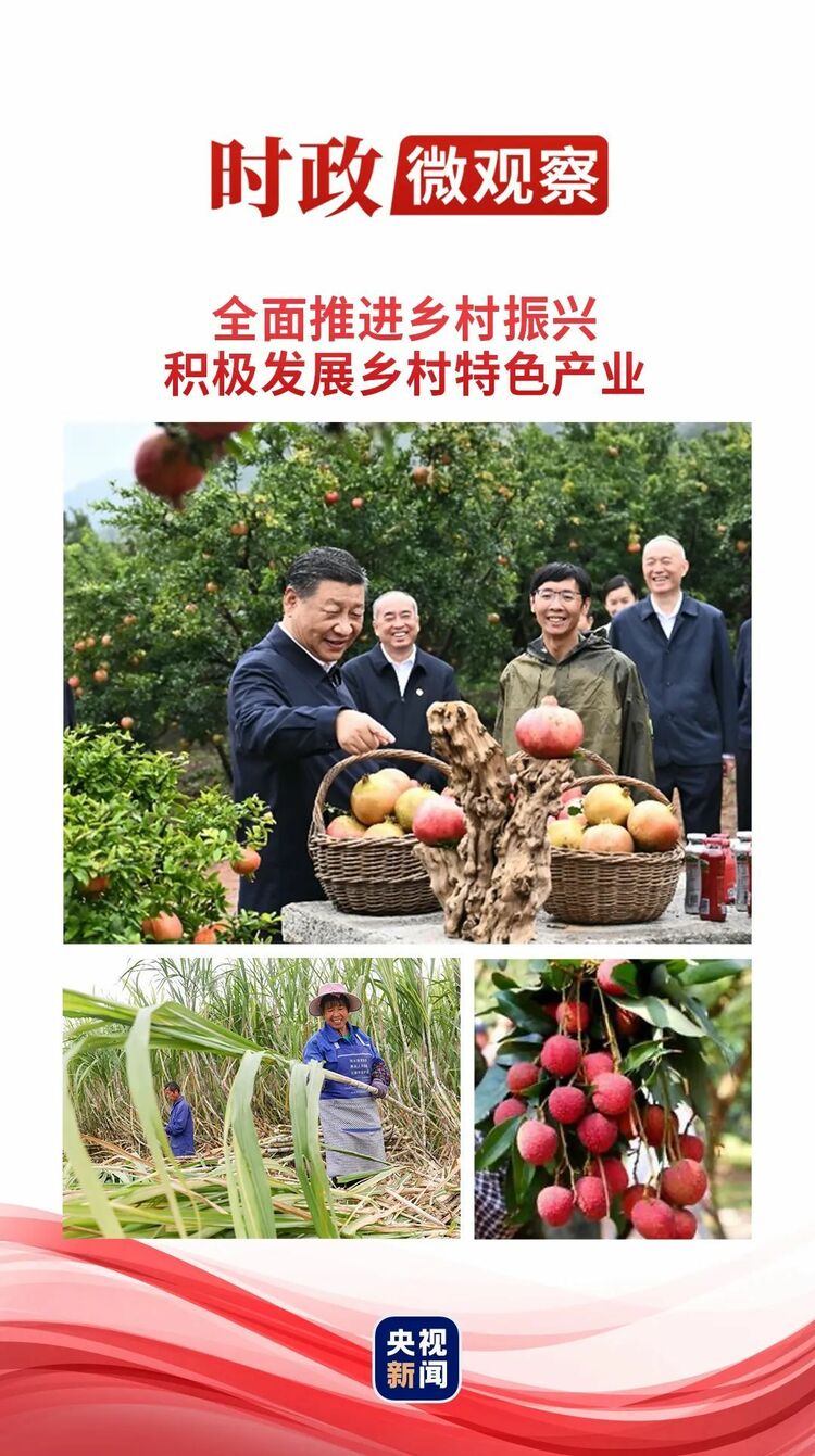 時政微觀察丨“土特産”帶來好日子