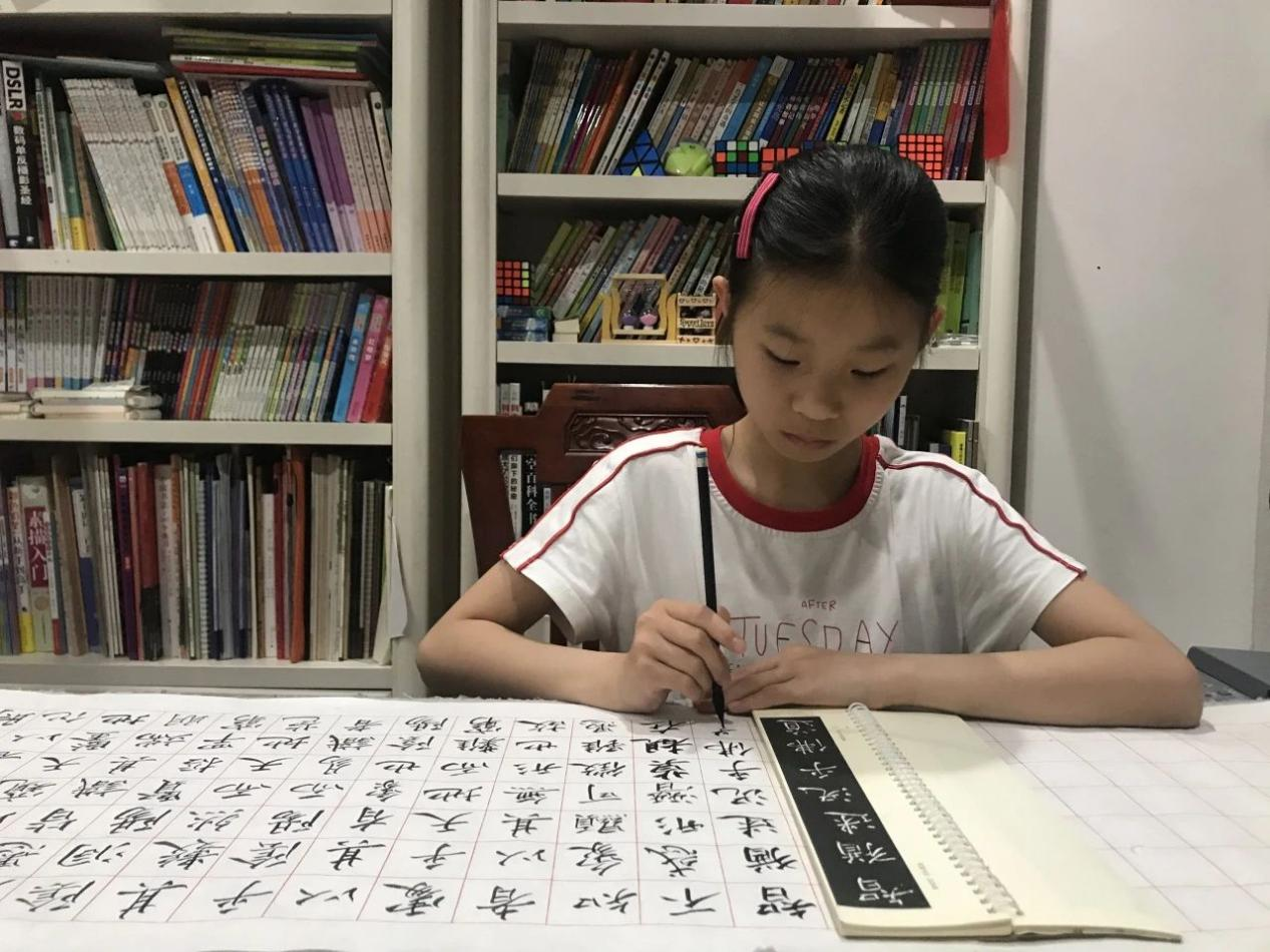 流暢英文對話國外網友！新時代好少年姐弟同心講好中國故事_fororder_圖片8