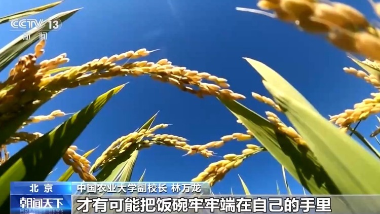 “大農業觀”第一次寫入政府工作報告！今年“三農”工作重點有這些