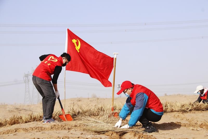 涼州：“草方格”上顯身手 大漠深處壓沙忙_fororder_444