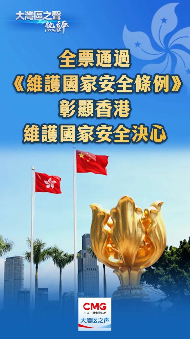 大灣區之聲熱評：全票通過《維護國家安全條例》，彰顯香港維護國家安全決心_fororder_640