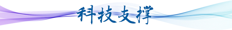 衛星視角看中國 | 跟隨總書記足跡看長三角之變