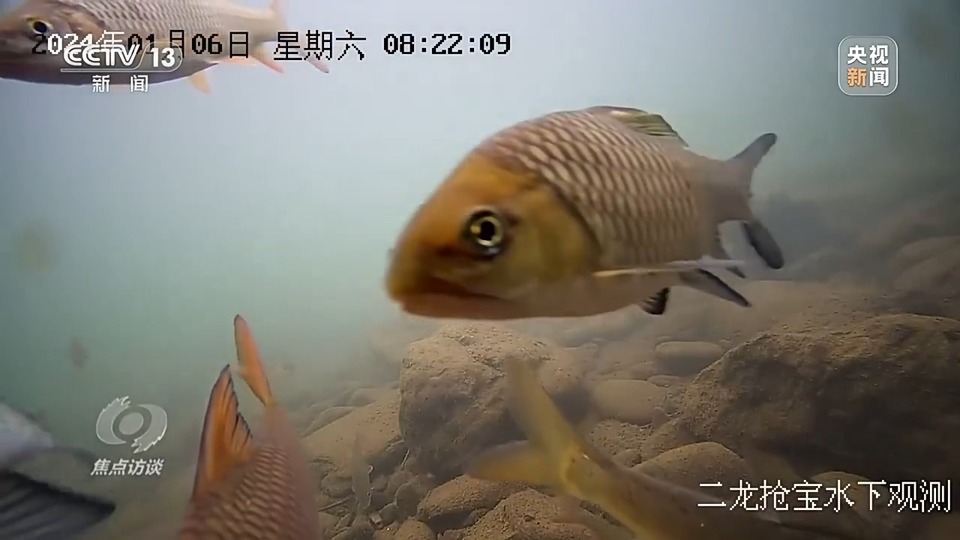 焦點訪談丨生態退化→水清岸綠 三省交出赤水河治理新答卷
