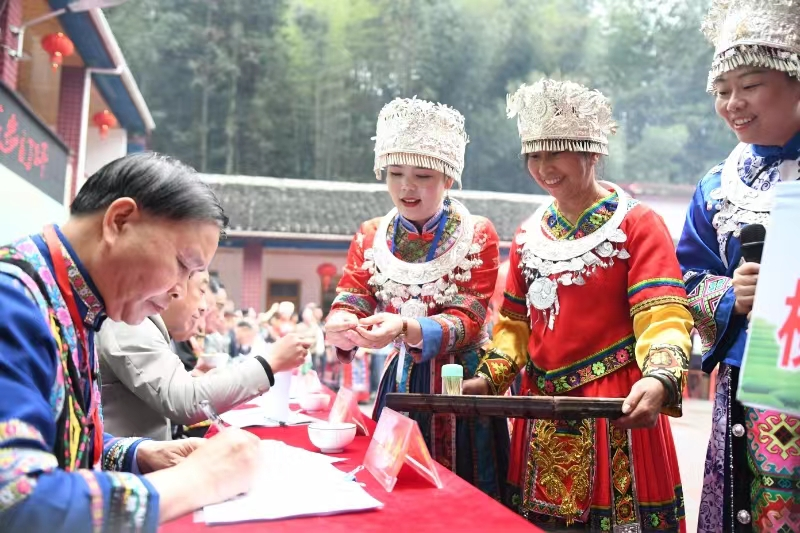 湖南省城步縣舉辦第二屆油茶文化活動暨首屆峒茶文化活動_fororder_圖片17