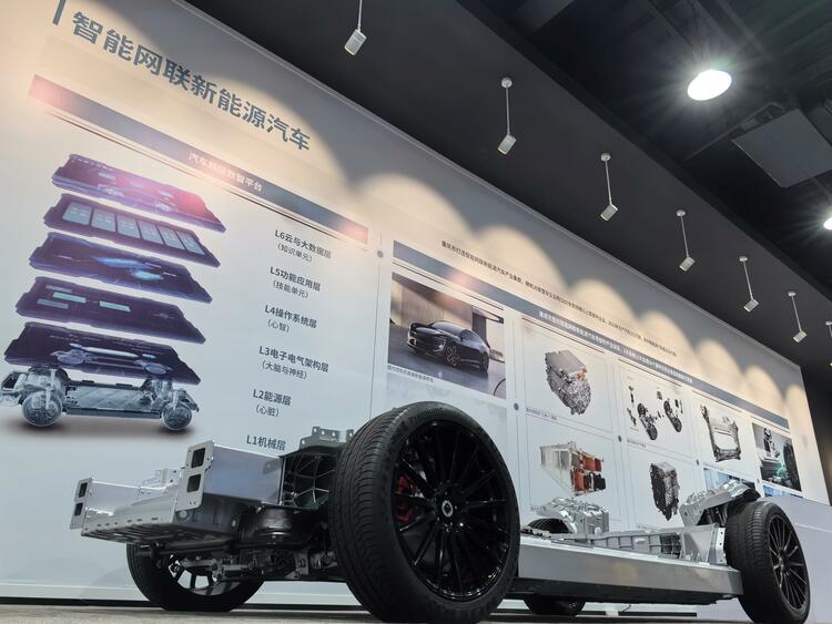潮頭觀瀾丨西部大開發 形成新格局