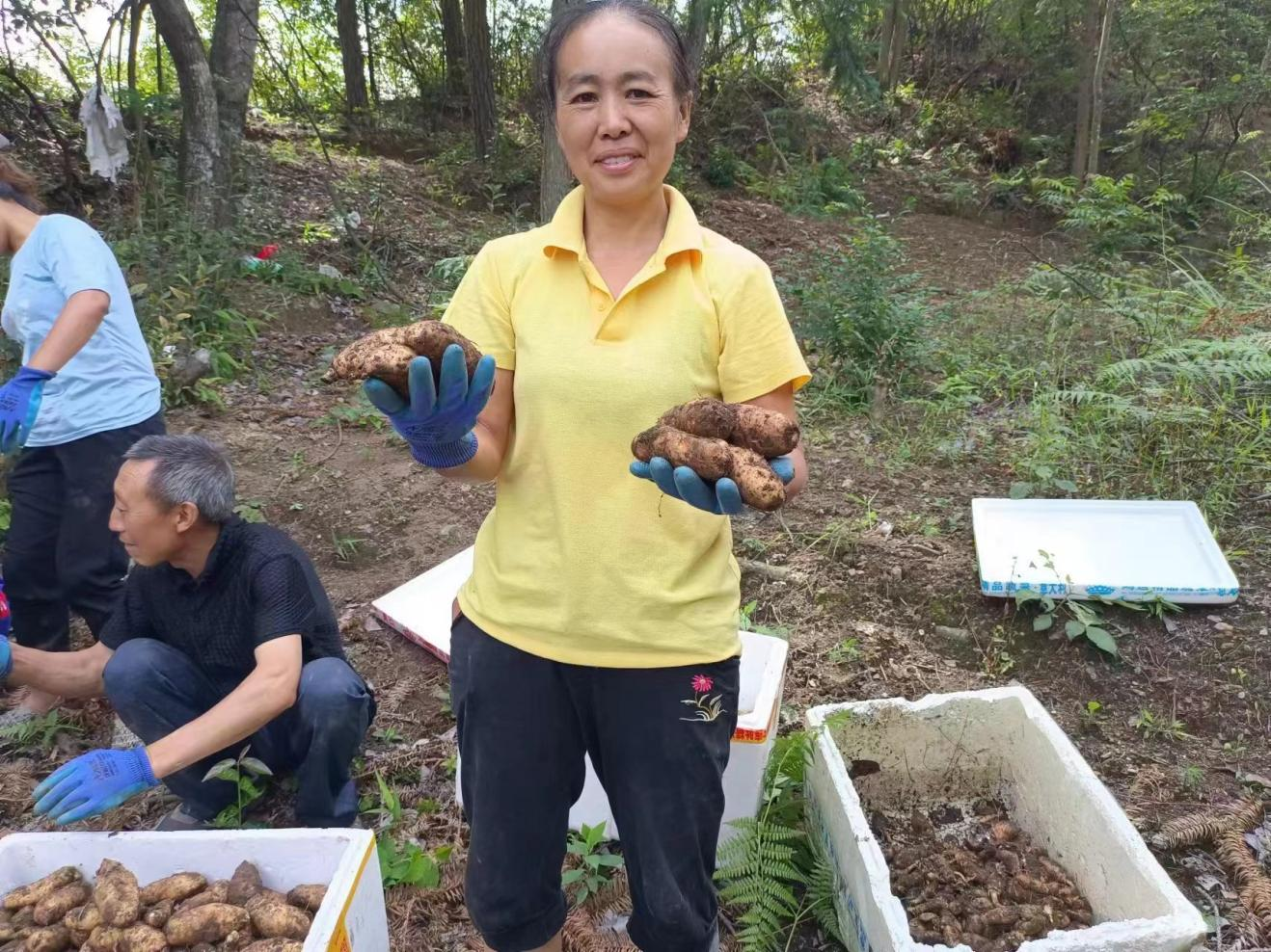 湖南城步： 多措並舉助力鄉村振興 特色産業多點開花_fororder_圖片4