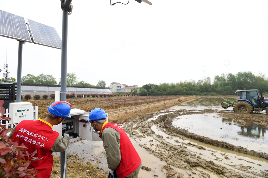 State Grid Wuhan Electric Power Supply Company Ensures Stable Power Supply for Smart Spring Farming_fororder_圖片2