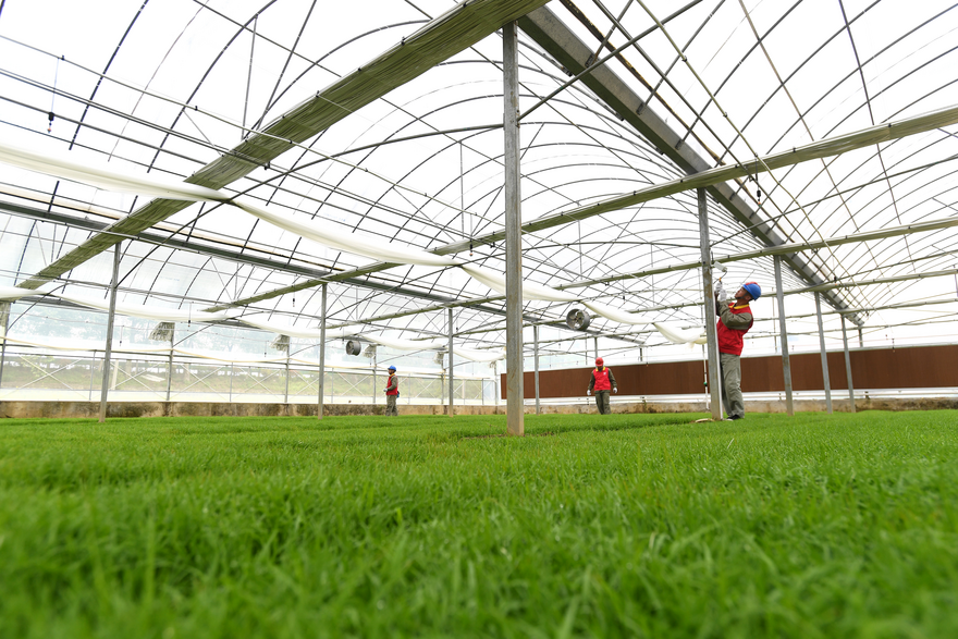 State Grid Wuhan Electric Power Supply Company Ensures Stable Power Supply for Smart Spring Farming_fororder_圖片1