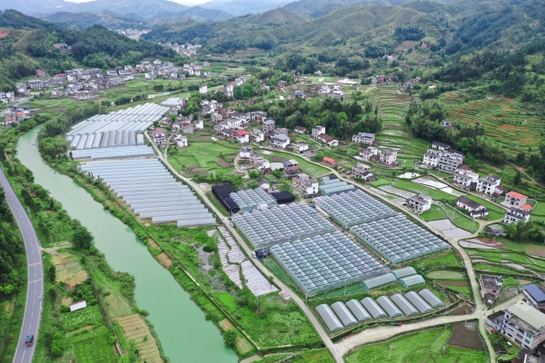 邁向開放高地｜蔬菜出高山 借“船”出海忙_fororder_湖南圖片