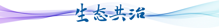 衛星視角看中國 | 跟隨總書記足跡看長三角之變