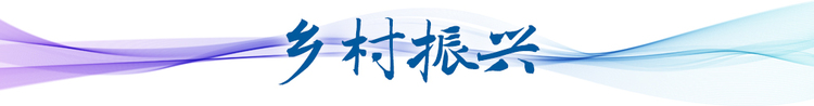 衛星視角看中國 | 跟隨總書記足跡看長三角之變
