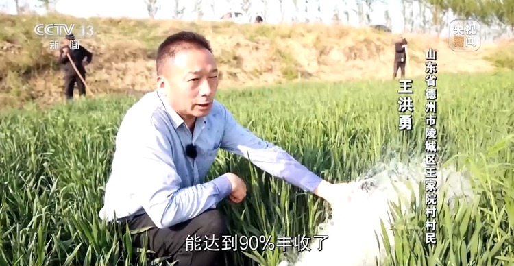 新聞週刊丨“開局良好”！中國經濟這樣邁好春天裏的第一步