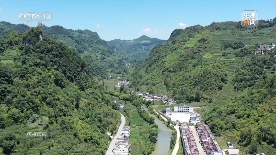 焦點訪談丨生態退化→水清岸綠 三省交出赤水河治理新答卷