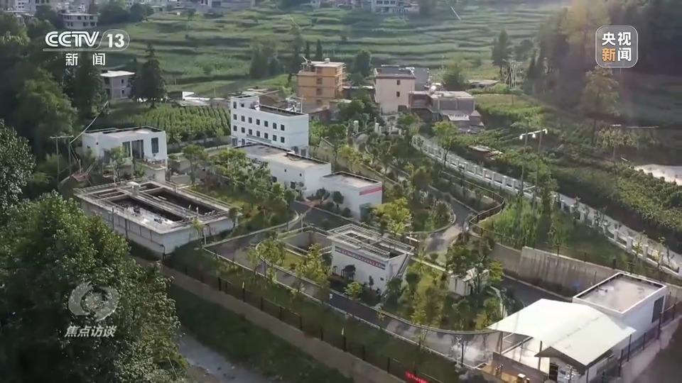 焦點訪談丨生態退化→水清岸綠 三省交出赤水河治理新答卷