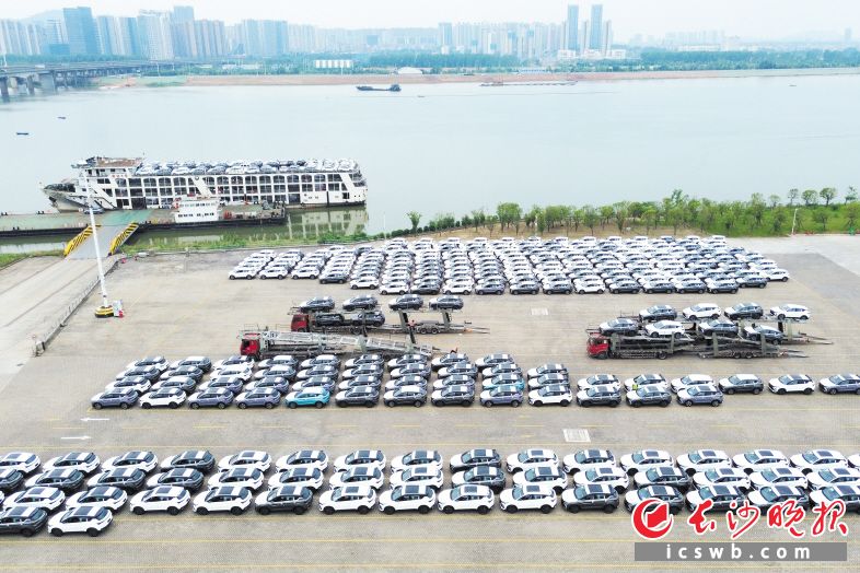 逐浪國際市場 840輛汽車從長沙乘船闖中東_fororder_222
