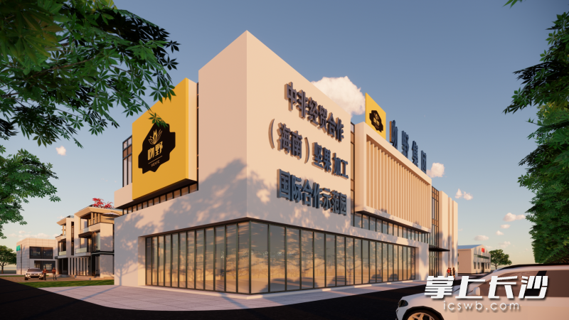 非洲生長海南加工湖南銷售，追尋一顆非洲堅果的中國之旅_fororder_111