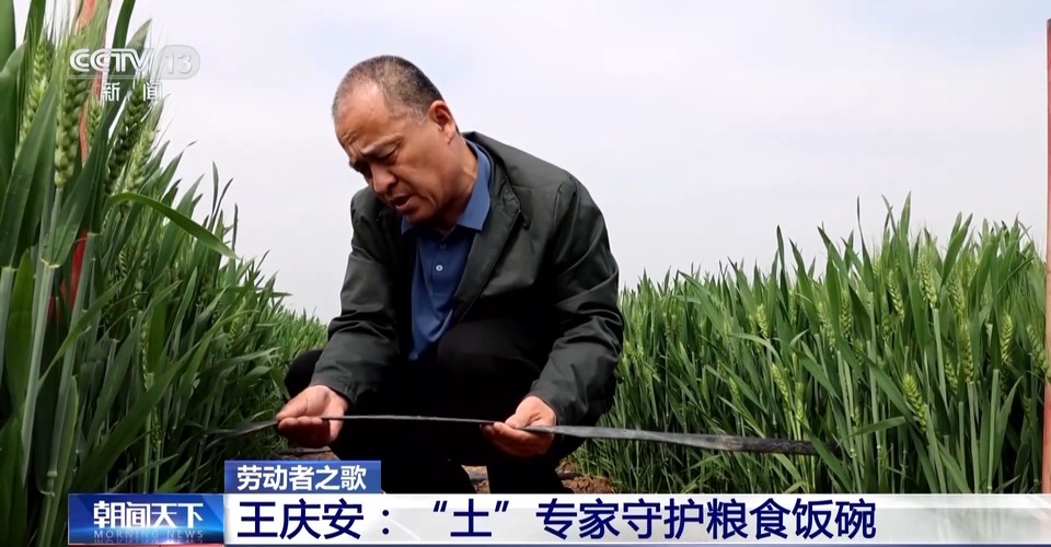 勞動者之歌丨在農田裏辦公 這個“土”專家，中！