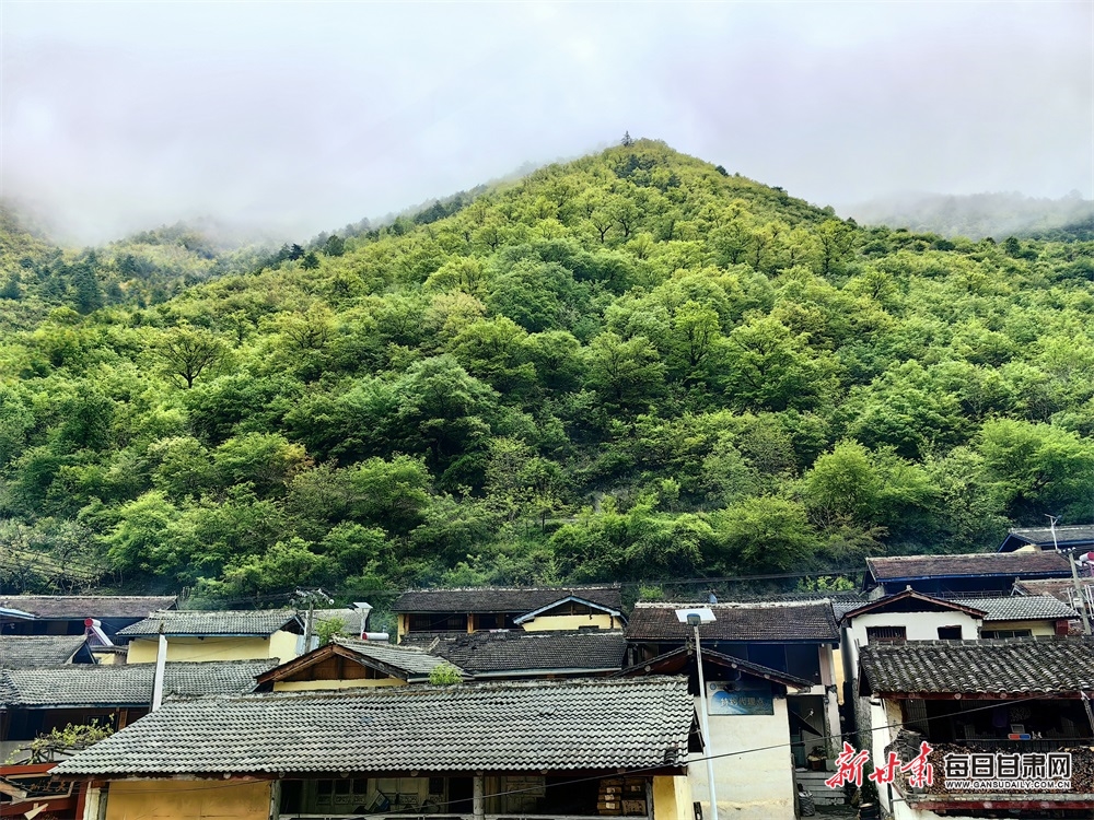【文旅】甘肅舟曲：青山逶迤染翠色 雲霧繚繞似桃源_fororder_4