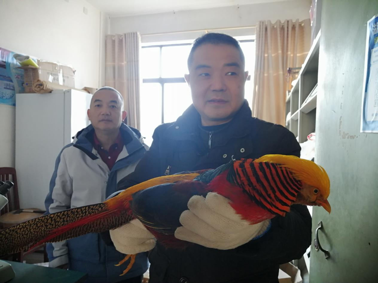 城步林業局獲評湖南省物種多樣性保護先進集體_fororder_圖片13