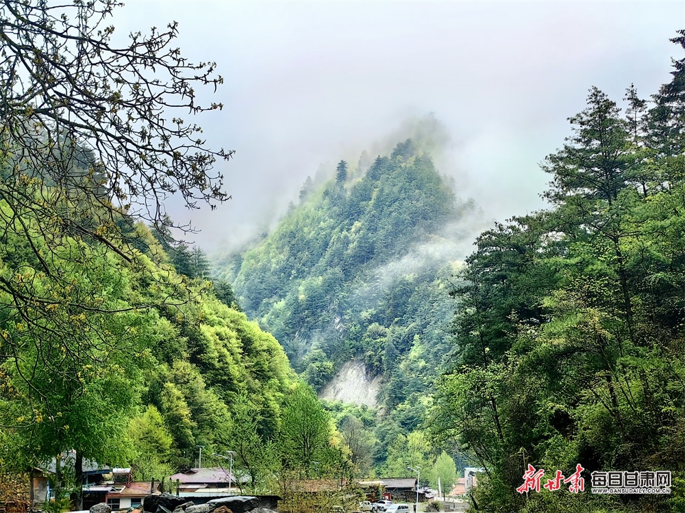 【文旅】甘肅舟曲：青山逶迤染翠色 雲霧繚繞似桃源_fororder_3