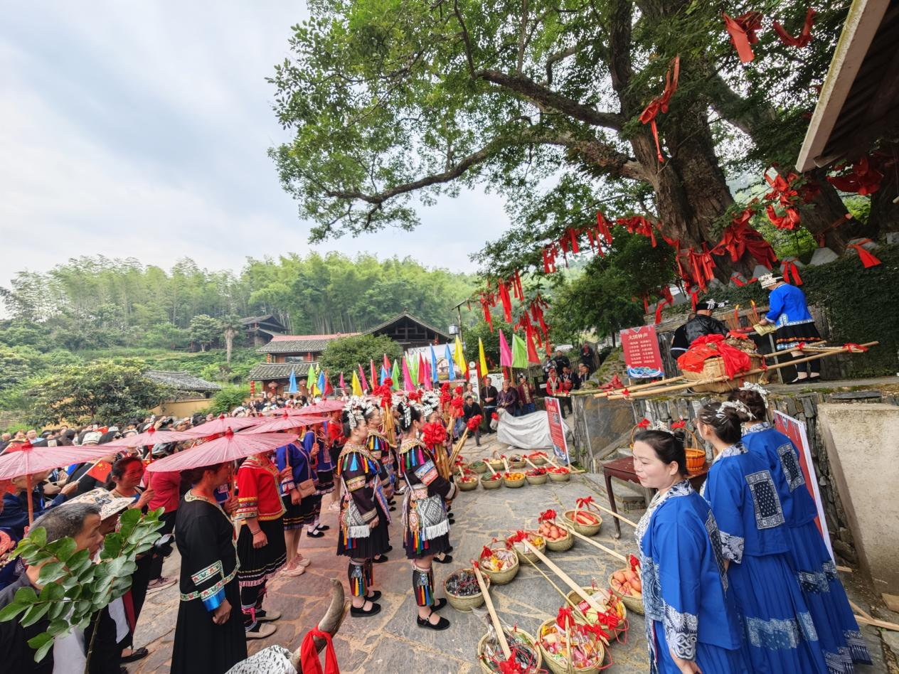 湖南綏寧歡度苗族四月八姑娘節 共享文化盛宴_fororder_圖片14