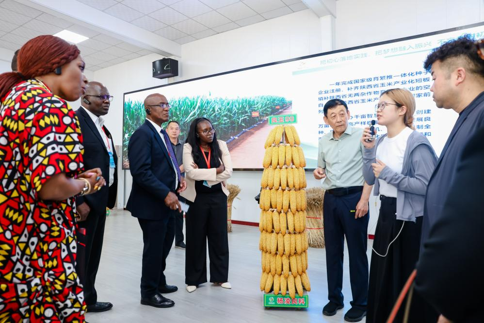 Diplomats from More Than 10 Countries Visit Yangling on 5th Anniversary of SCO Agricultural Base Initiative_fororder_圖片6