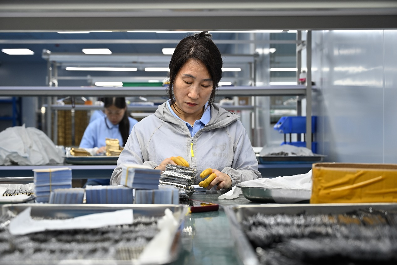 雁城雁歸來 長樂長喜樂_fororder_圖片6