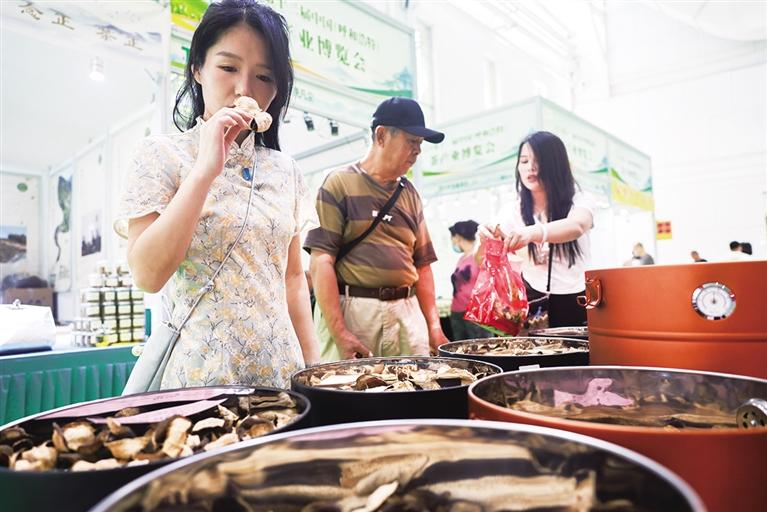 2024第十二屆中國（呼和浩特）茶産業博覽會開幕_fororder_晚報
