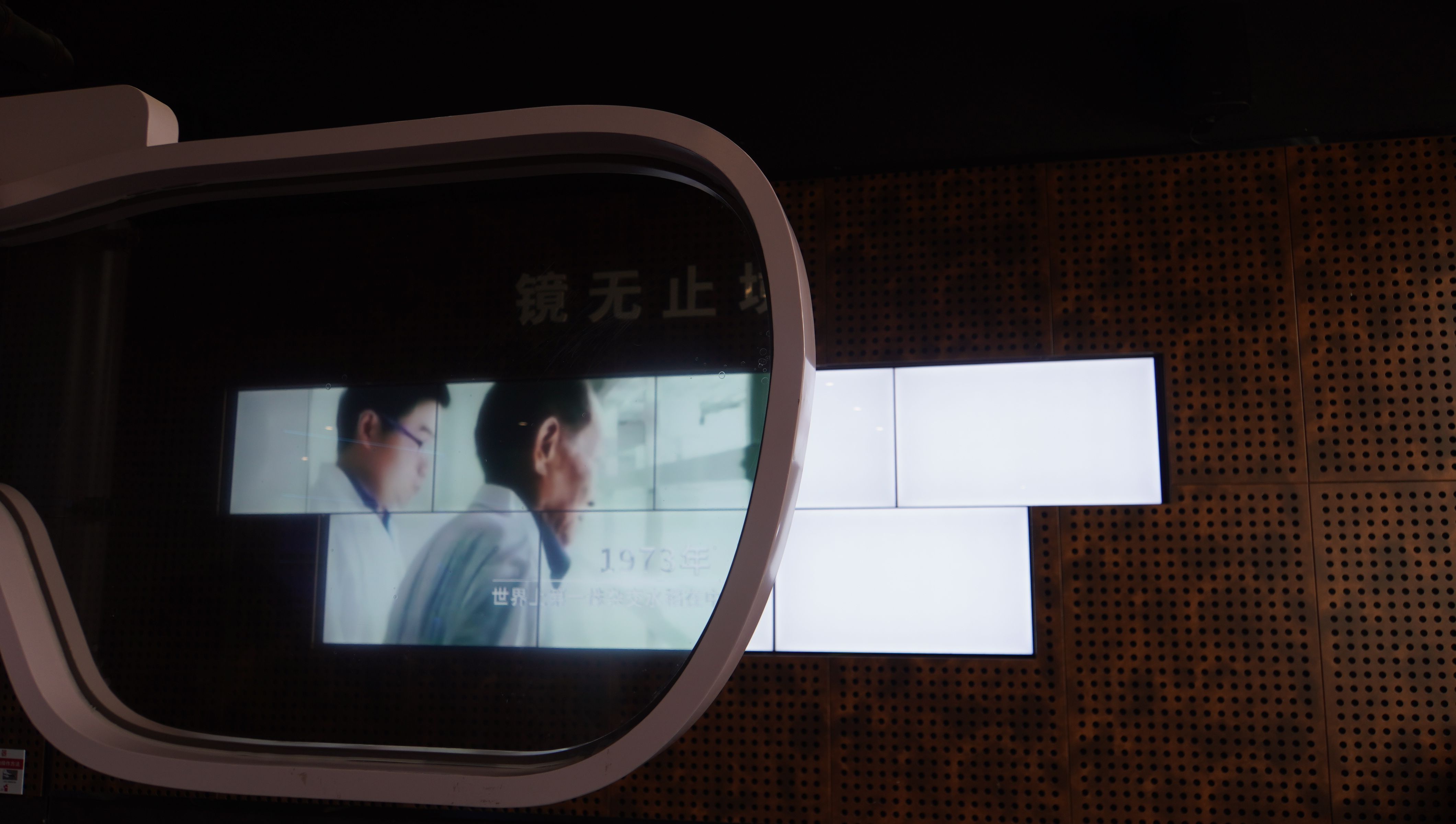 圖片默認標題_fororder_DSC05394 - 副本.JPG