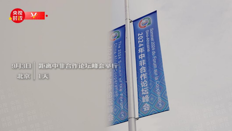 時政微紀錄丨習主席的中非時間：共築高水準中非命運共同體