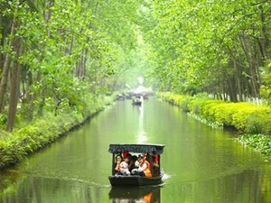 圖片默認標題