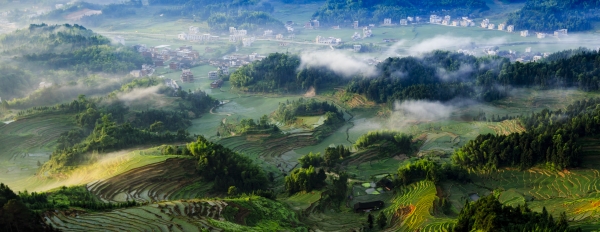 紫鵲雲端人間梯田_fororder_(1)