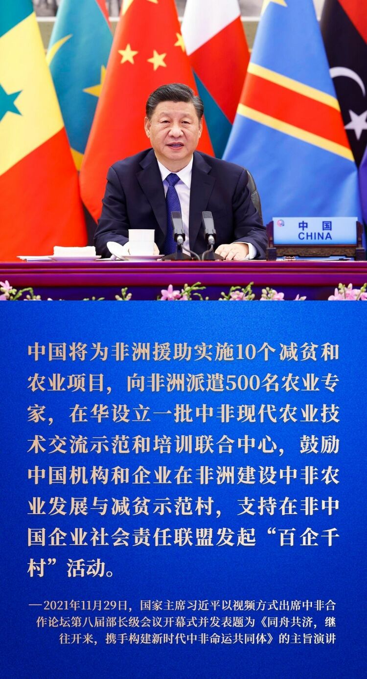 鏡觀·迴響丨中非農業合作，結出“看得見摸得著”的碩果