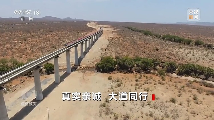 焦點訪談丨敘友情、商合作、話未來！非洲多國元首表達對中國理念的認同