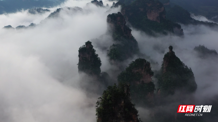 張家界十里畫廊：雲霧繞峰叢 水墨畫卷醉遊人_fororder_2